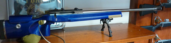 carabine salva 338 lapua