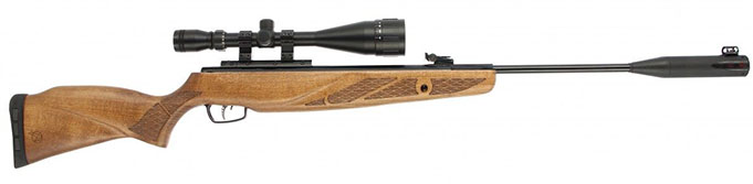 Carabine Gamo Hunter 12520 Grizzly Pro